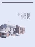 错过爱情错过你小说免费阅读