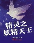 精灵之妖精天王txt下载
