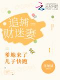 追捕财迷妻:爹地来了,儿子快跑!