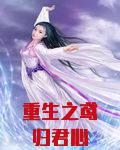 重生之鸢归君心