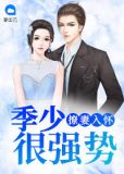 撩妻入怀免费阅读全文