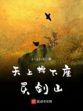 天上掉下个无上王