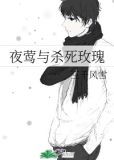 夜莺与杀死玫瑰txt