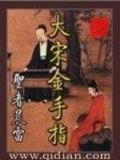大宋金手指百科