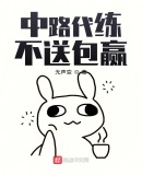 中野代练,不送包赢