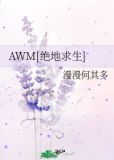 awm绝地求生补肉