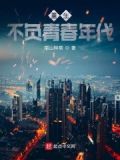 重生红色青春年代宋红旗