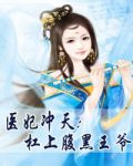 医妃冲天:杠上腹黑王爷 小说