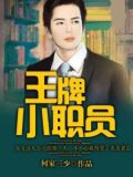 王牌小职员下载