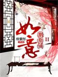 如意胭脂铺评价