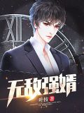 无敌弁婿