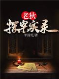 老狄探案实录小说下载