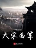 大宋西军