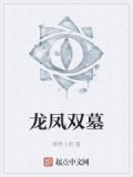 龙凤至尊墓小说