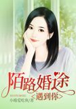 婚途陌路遇上你小说全文免费阅读