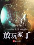 我要放玩家了 小说