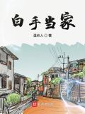 白手当家txt下载