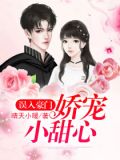 娇宠小甜心 小说