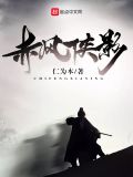 赤风侠影手游