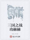 三国之战功赫赫