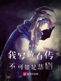 我写的自传不可能是悲剧书评起点图