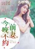 前妻,今晚不约全文免费阅读