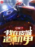 双城之我在皮城造机甲 小说