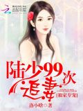 独家专宠：陆少99次追妻