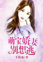 娇妻萌宝第十六集