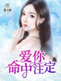 泰国电视剧爱你命中注定
