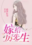 我的厉先生 小说
