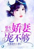 婚不由己老公要不够txt