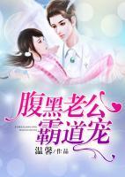 腹黑老公霸道宠军婚