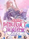 阿飘的小说