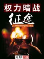 权力暗战:征途书评