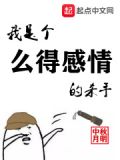 我是个么得感情的杀手女主角