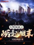 明朝大海盗小说