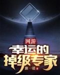 网游幸运的掉级专家小说
