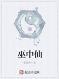巫中仙儒道力量体系是什么