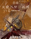 开局：大唐万里一孤城