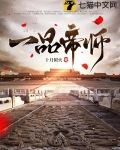 一品帝师 泡泡鱼