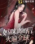 离婚后妈咪a爆全球免费阅读评论