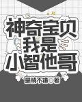 神奇宝贝：我是小智他哥