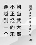 穿越到一个不正经的宋朝当武大郎的小说