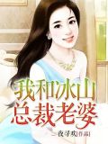 我和冰山总裁老婆叶天龙免费阅读