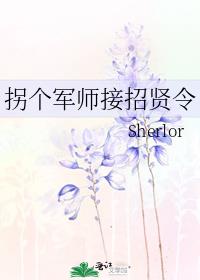 拐个军师接招贤令作者:Sherlor