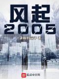 风起2005