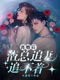 离婚后,渣总追妻追不着 小离岛