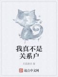 我真不是关系户 小说