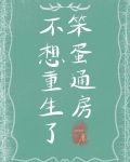 笨蛋一样